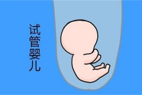 培养珠海捐卵宝宝艺术细胞的小技巧