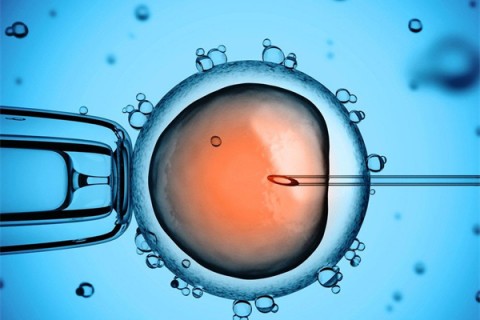 http://zhuhai.huochezhan.net/post/199.html|珠海供卵助孕